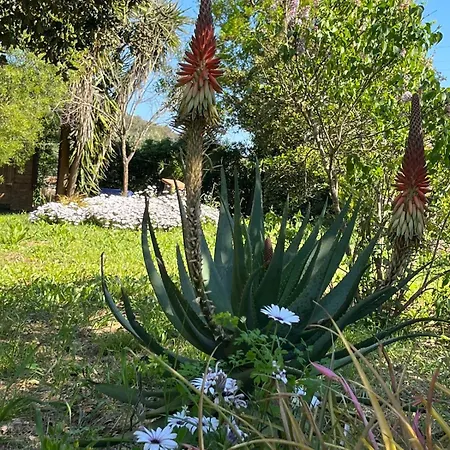 Quintavalle * Casa Marchetti