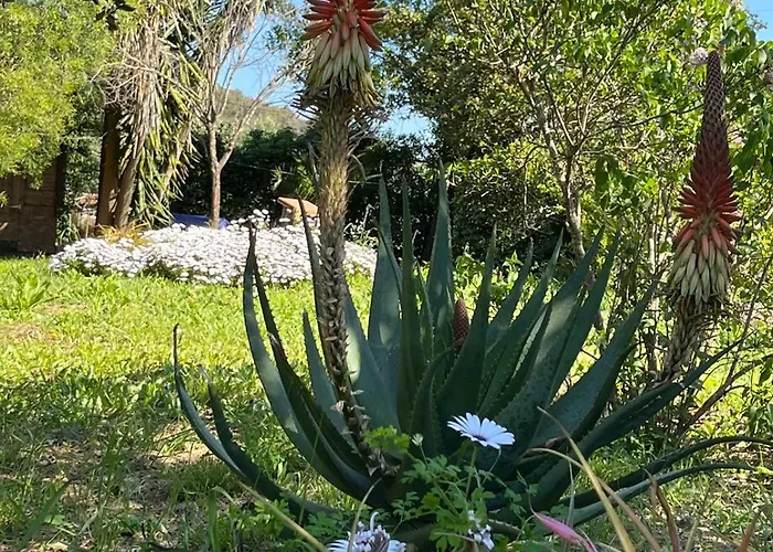 Quintavalle * Casa Marchetti