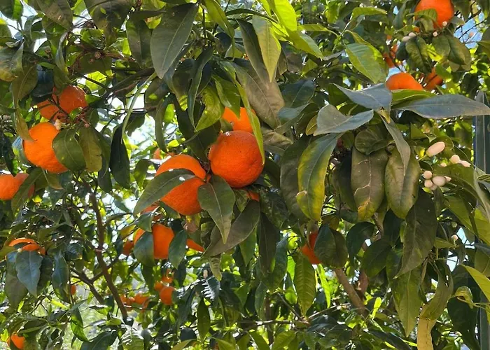 Quintavalle דירה Casa Marchetti