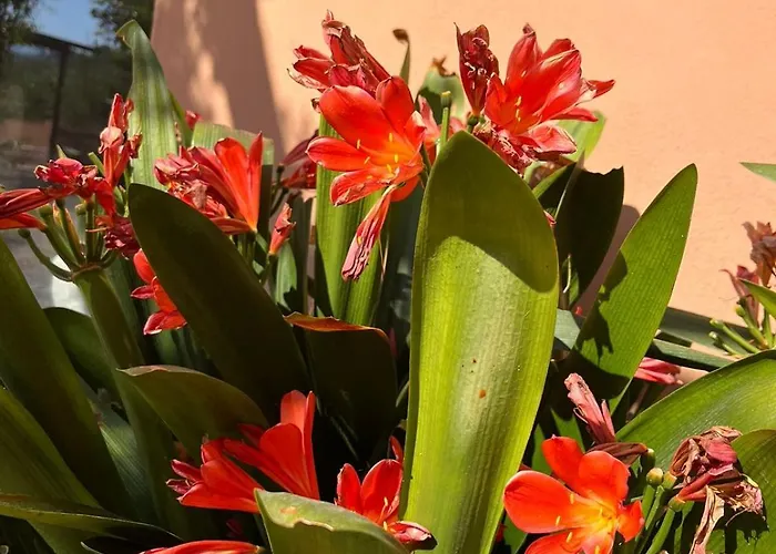 Apartmán Quintavalle