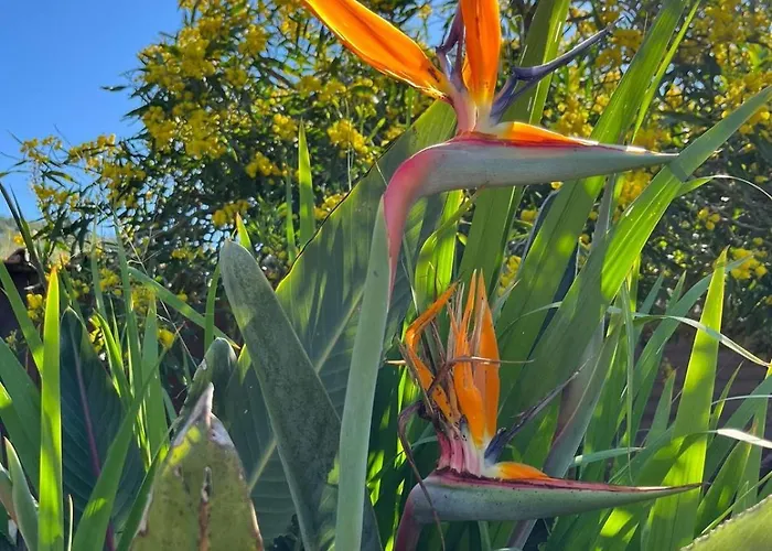 Quintavalle דירה Casa Marchetti